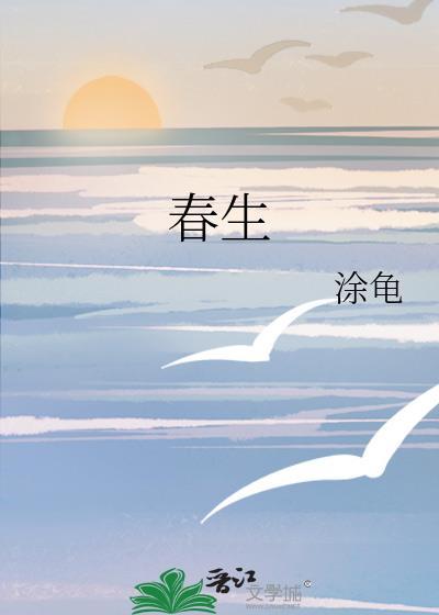 第一游侠[全息]