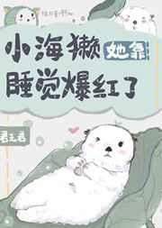 光明圣女，但是战斗系