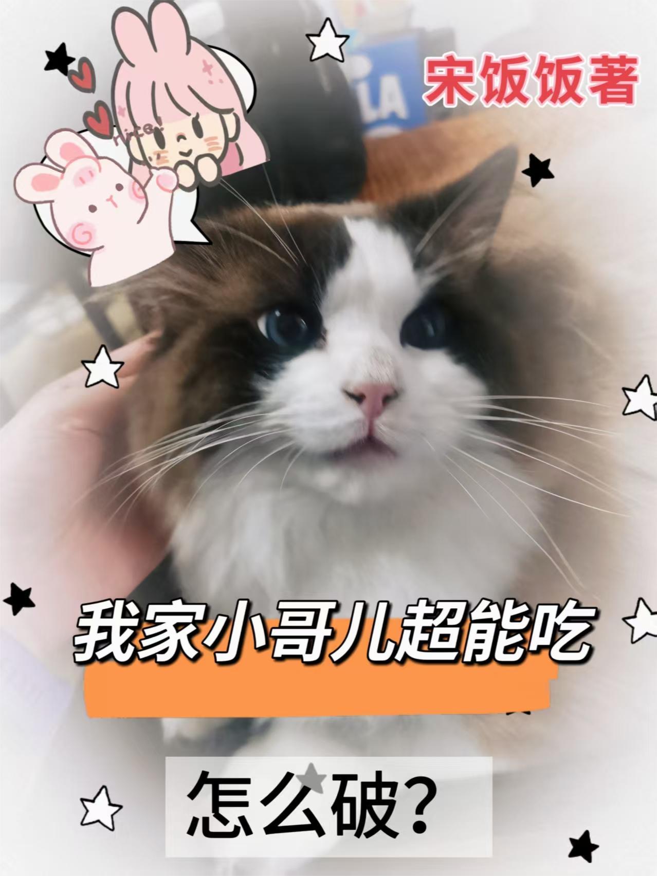 重生戴沐白：我先一步定乾坤