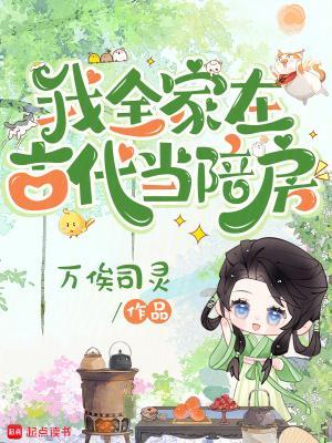 魂穿大汉之卫家天下