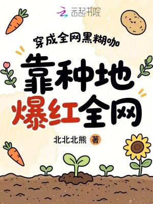 木叶：谁说忍界不能玩猎人