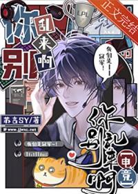 镇国女捕头