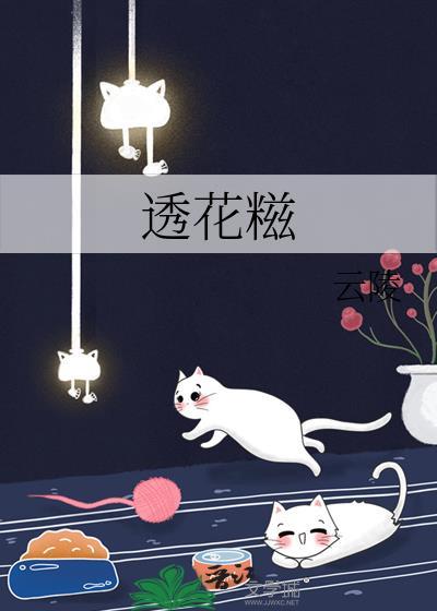 再遇港雨