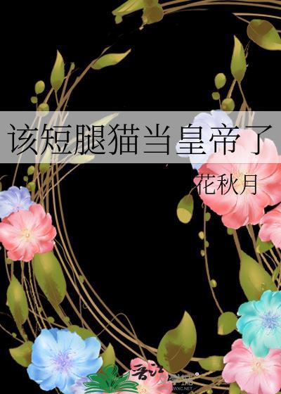 八零草台科研班子作妖日常