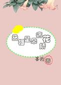 随机人生路快穿
